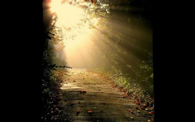 Boletim Paroquial Nº 12