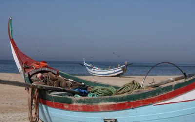 Boletim Paroquial Nº 13