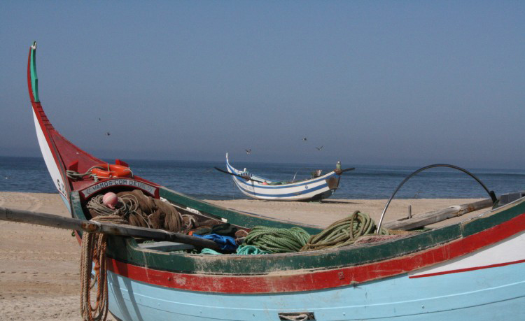 Boletim Paroquial Nº 13