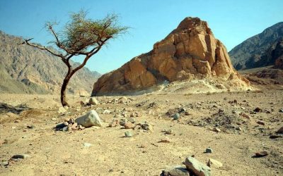 Boletim Paroquial Nº 17