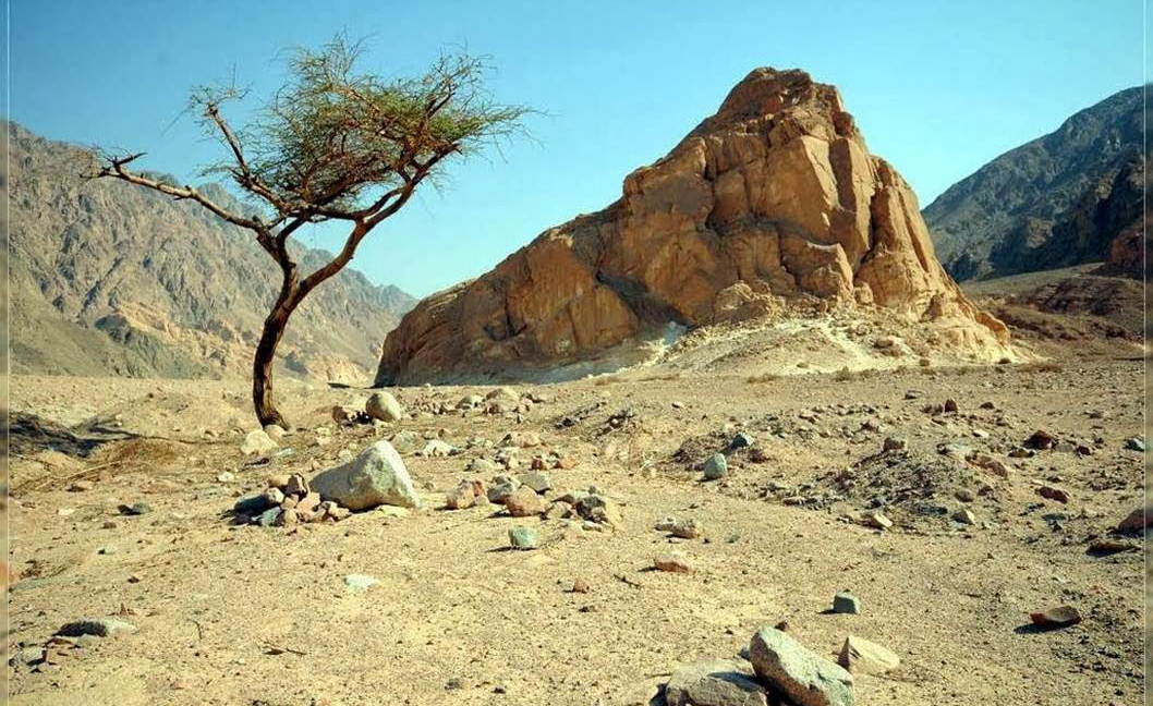 Boletim Paroquial Nº 17