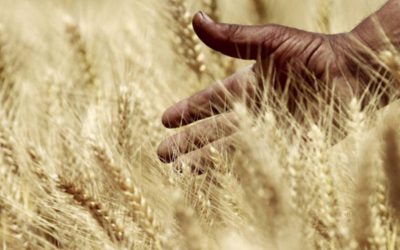 Boletim Paroquial Nº31