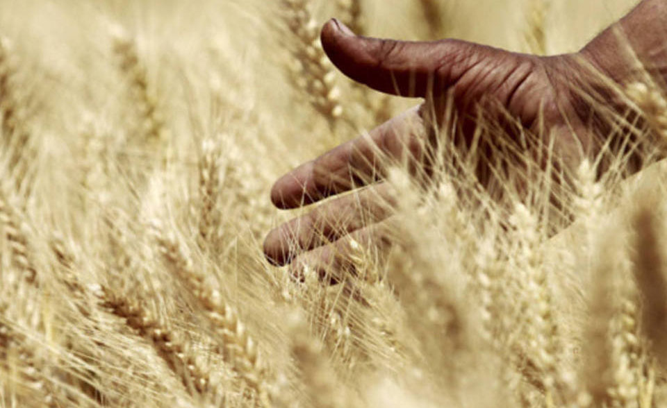 Boletim Paroquial Nº31