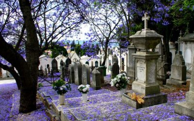 Horário das Missas de 1 e 2 de Novembro