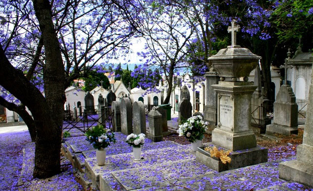 Horário das Missas de 1 e 2 de Novembro