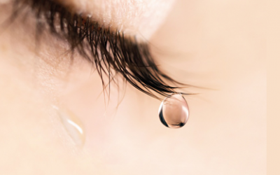 Boletim Paroquial Nº39