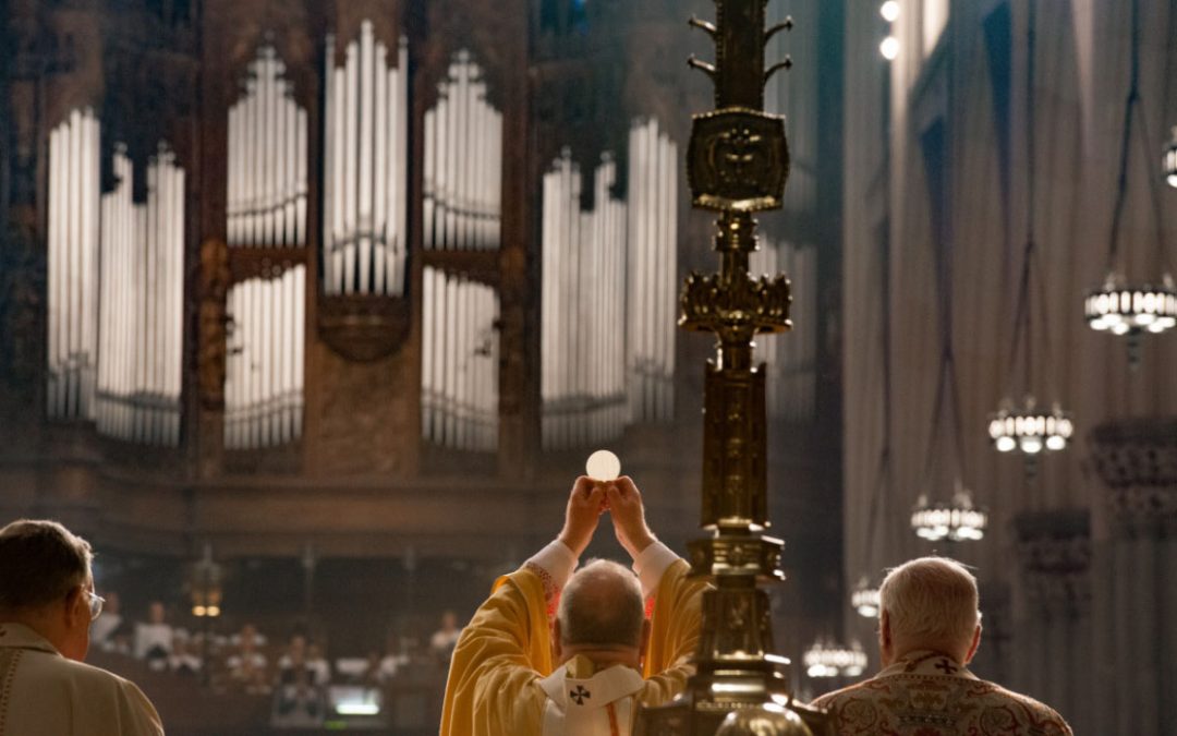 Ano Pastoral 2018-2019: Viver a Liturgia como lugar de encontro