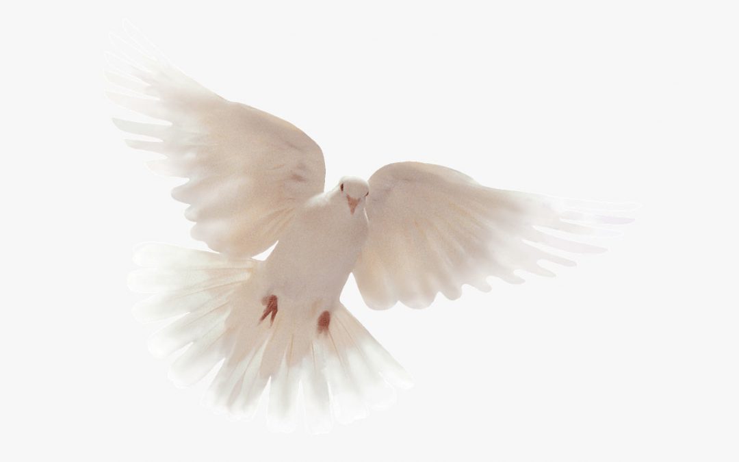 Boletim Paroquial Nº47