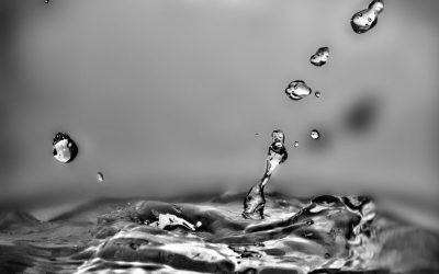 Boletim Paroquial Nº46