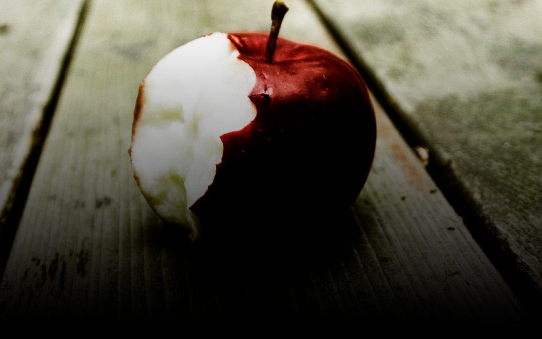 Boletim Paroquial Nº58