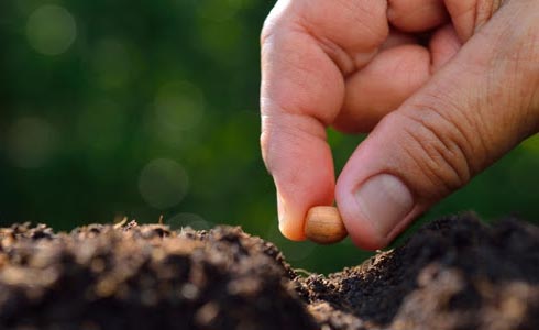 COMUNIDADE EM FORMAÇÃO DESAFIOS ACTUAIS DA NOVA EVANGELIZAÇÃO