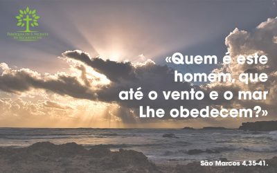 «Quem é este homem, que até o vento e o mar Lhe obedecem?»