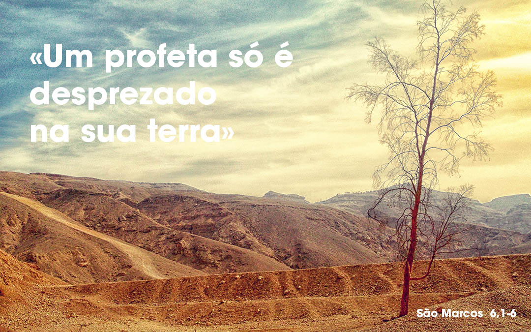 «Um profeta só é desprezado na sua terra» (Mc 6,4)