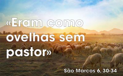 «Eram como ovelhas sem pastor» (Mc 6, 30-34)