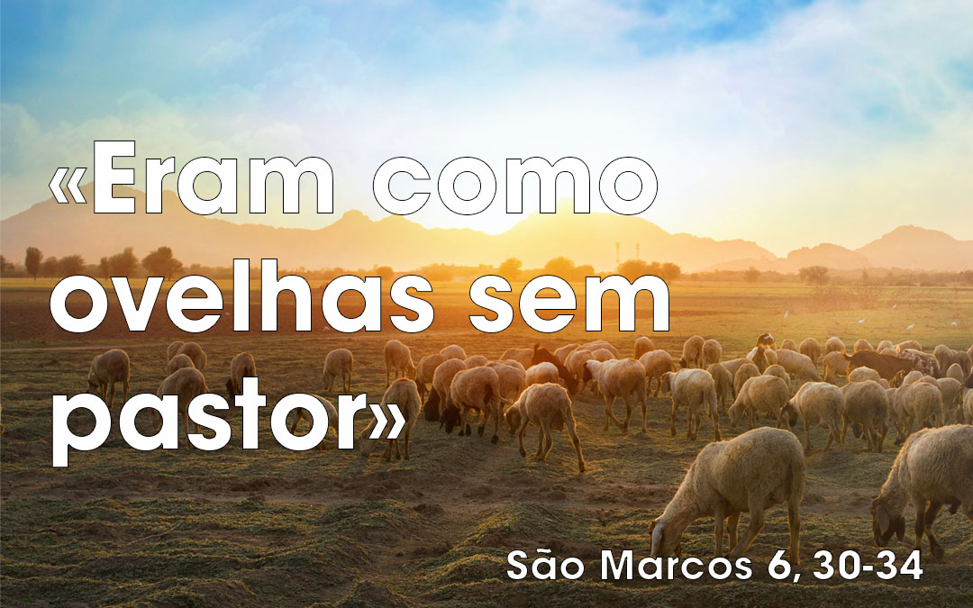 «Eram como ovelhas sem pastor» (Mc 6, 30-34)