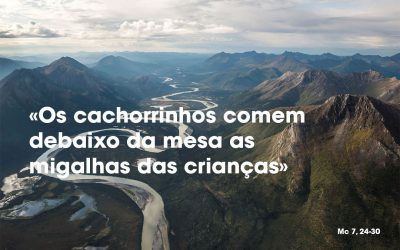 «Os cachorrinhos comem debaixo da mesa as migalhas das crianças» (Mc 7, 24-30)