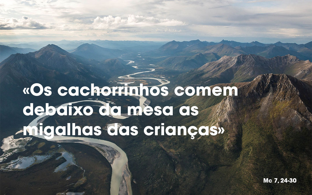 «Os cachorrinhos comem debaixo da mesa as migalhas das crianças» (Mc 7, 24-30)