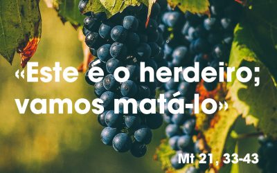 «Este é o herdeiro; vamos matá-lo» (Mt 21, 33-43)