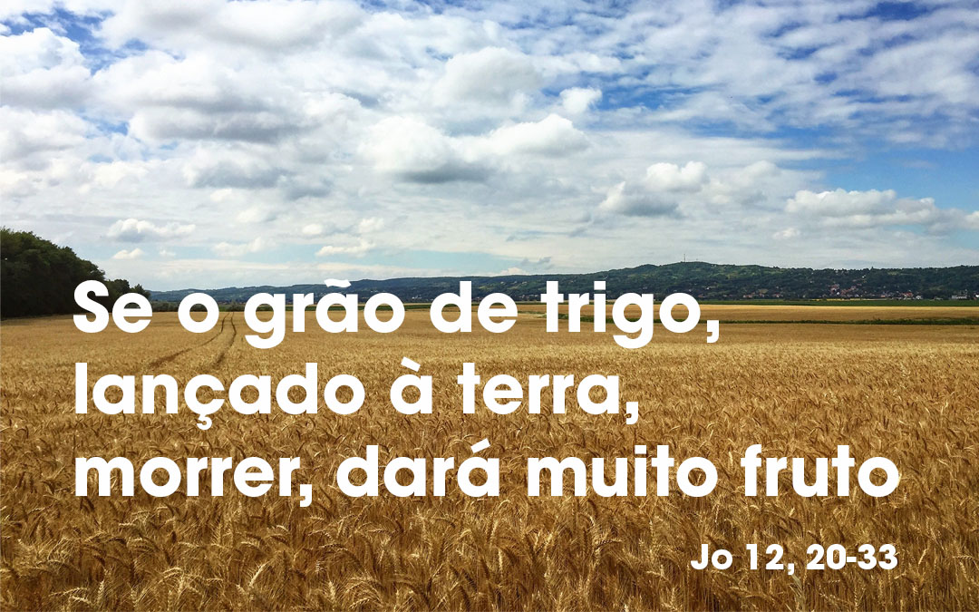 «Se o grão de trigo, lançado à terra, morrer, dará muito fruto» Jo 12, 20-33