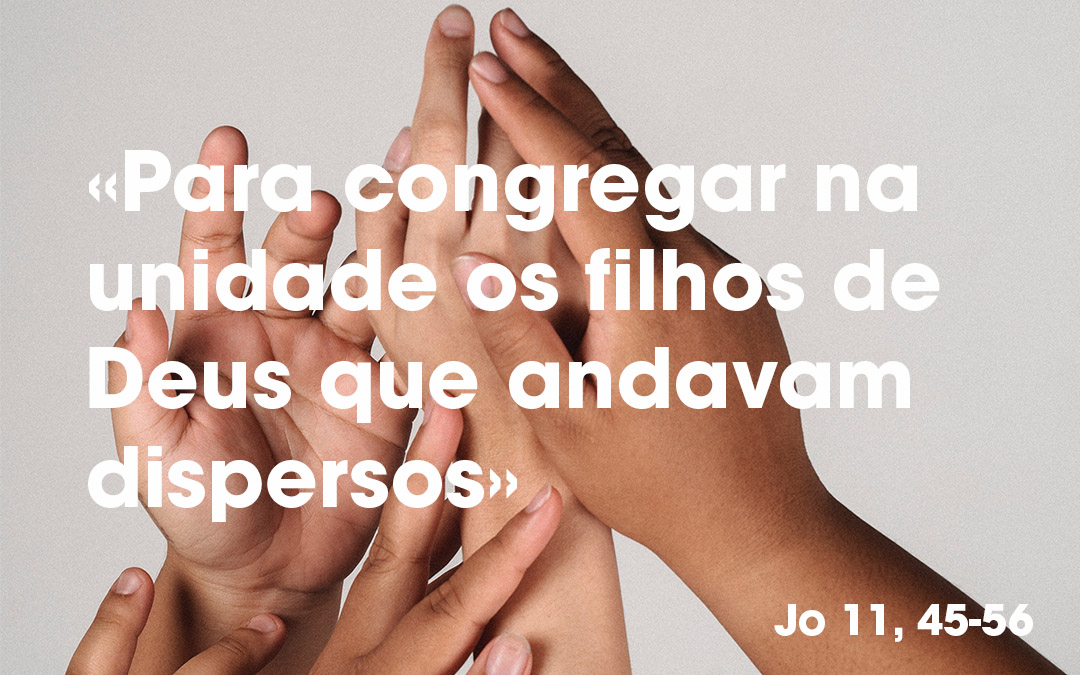 «Para congregar na unidade os filhos de Deus que andavam dispersos» (Jo 11, 45-56)
