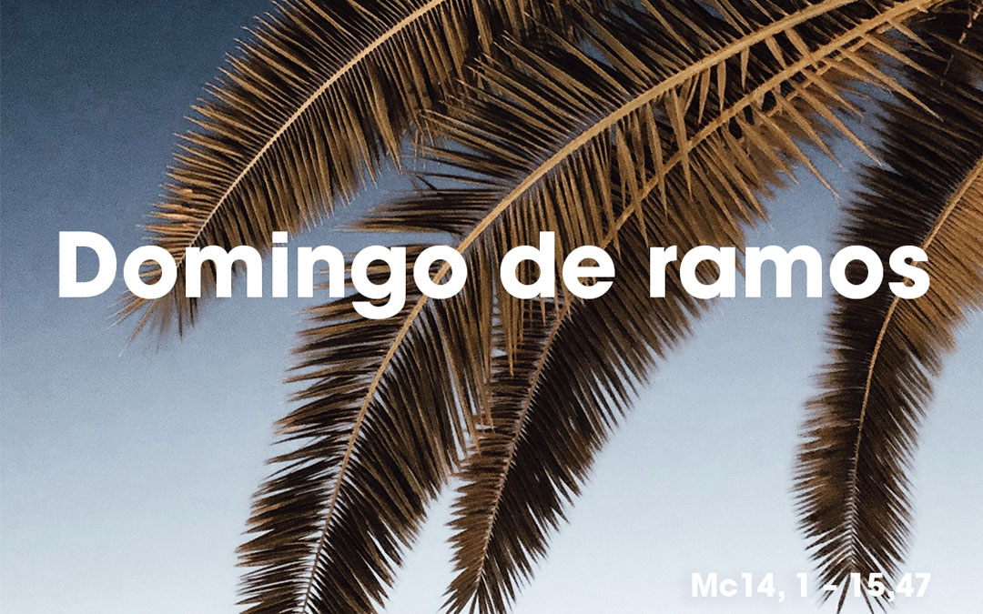 Domingo de Ramos (Mc14,1 – 15,47)