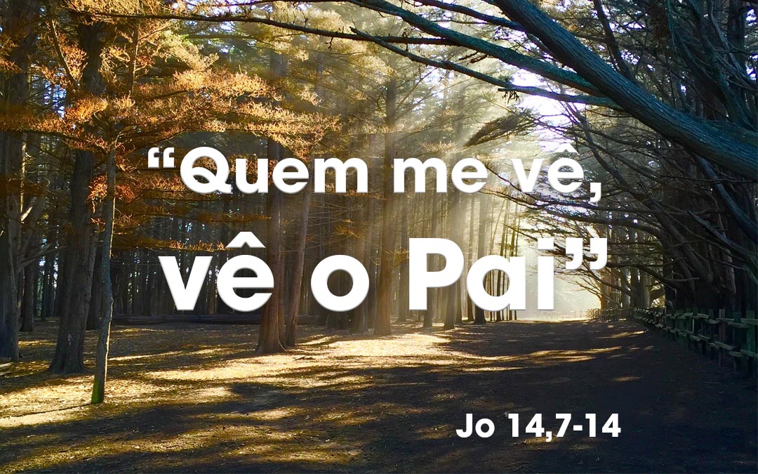 “Quem me vê, vê o Pai” (Jo 14,7-14)