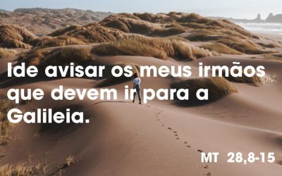 Ide avisar os meus irmãos que devem ir para a Galileia. (MT  28,8-15)