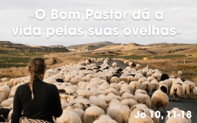 «O Bom Pastor dá a vida pelas suas ovelhas» (Jo 10, 11-18)