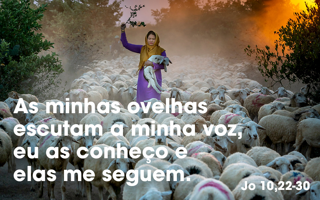 “As minhas ovelhas escutam a minha voz” (Jo 10,22-30)