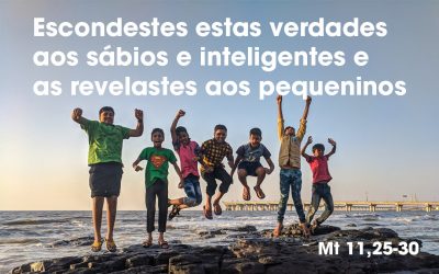 “Escondestes estas verdades aos sábios e inteligentes e as revelastes aos pequeninos” (Mt 11,25-30)