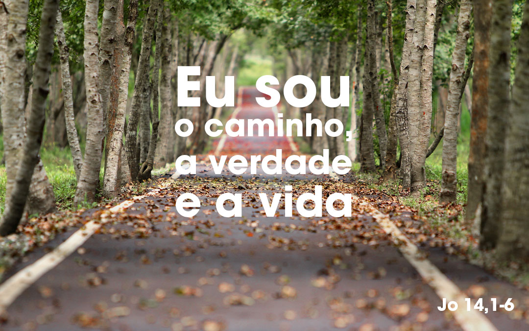 Eu sou o caminho, a verdade e a vida (Jo 14,1-6)