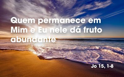 «Quem permanece em Mim e Eu nele dá fruto abundante» (Jo 15, 1-8)