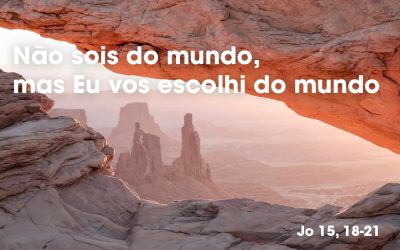 «Não sois do mundo, mas Eu vos escolhi do mundo» (Jo 15, 18-21)