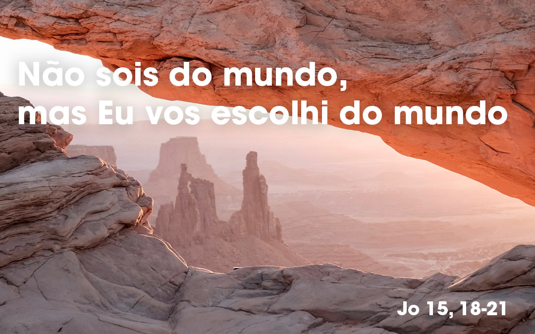 «Não sois do mundo, mas Eu vos escolhi do mundo» (Jo 15, 18-21)