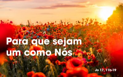 «Para que sejam um como Nós» (Jo 17, 11b-19)