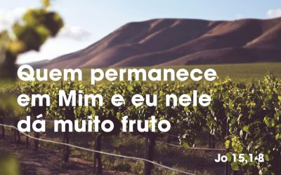 Quem permanece em Mim e eu nele dá muito fruto (Jo 15,1-8)