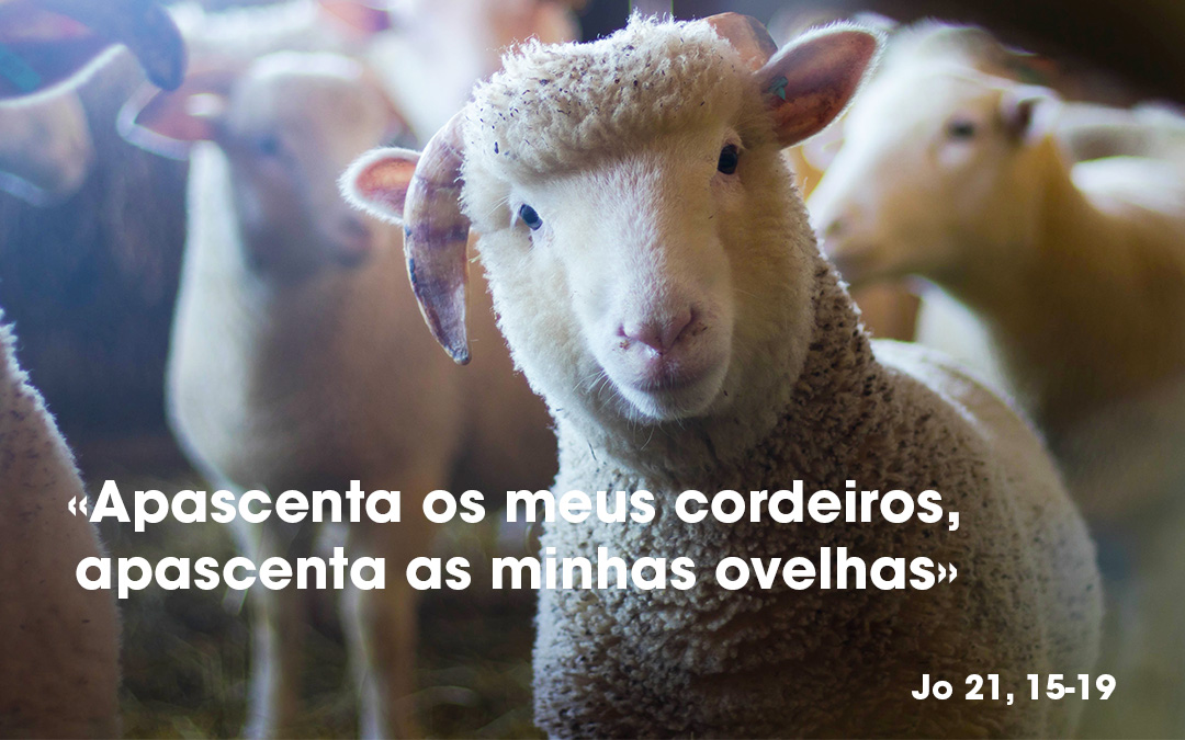 «Apascenta os meus cordeiros, apascenta as minhas ovelhas» (Jo 21, 15-19)