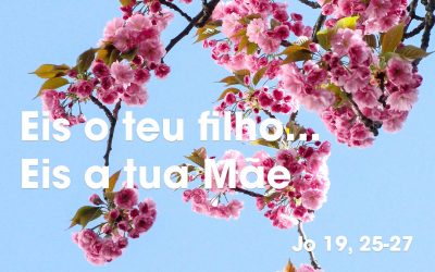 «Eis o teu filho…Eis a tua Mãe» (Jo 19, 25-27)