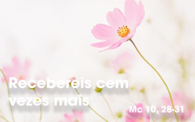 «Recebereis cem vezes mais, já neste mundo, juntamente com perseguições, e, no mundo futuro, a vida eterna» Mc 10, 28-31
