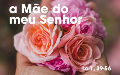 «Donde me é dado que venha ter comigo a Mãe do meu Senhor?» Lc 1, 39-56