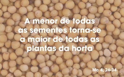 «A menor de todas as sementes torna-se a maior de todas as plantas da horta» Mc 4, 26-34