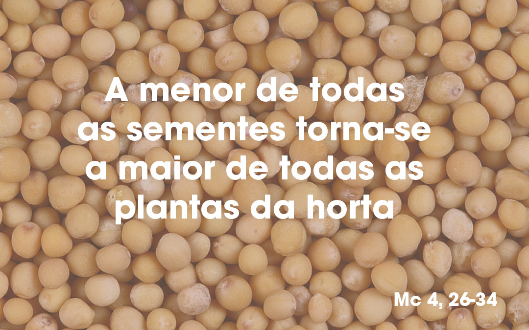«A menor de todas as sementes torna-se a maior de todas as plantas da horta» Mc 4, 26-34