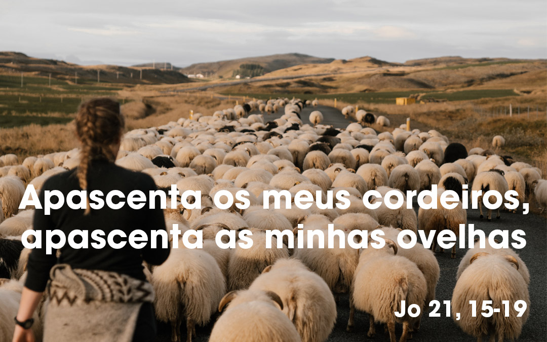 «Apascenta os meus cordeiros, apascenta as minhas ovelhas» (Jo 21, 15-19)