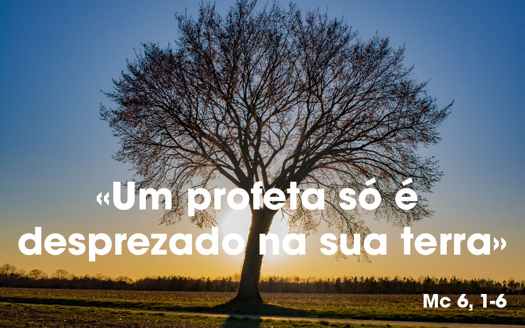«Um profeta só é desprezado na sua terra» (Mc 6, 1-6)