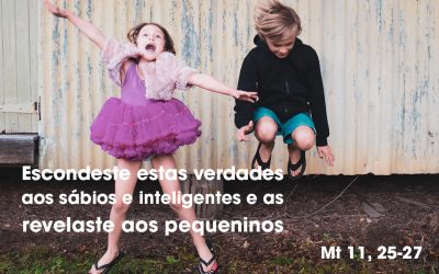 «Escondeste estas verdades aos sábios e inteligentes e as revelaste aos pequeninos» Mt 11, 25-27