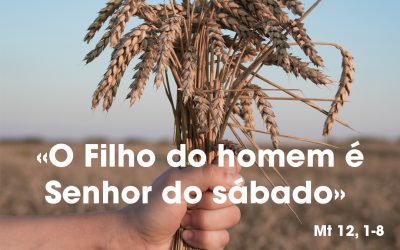 «O Filho do homem é Senhor do sábado» Mt 12, 1-8