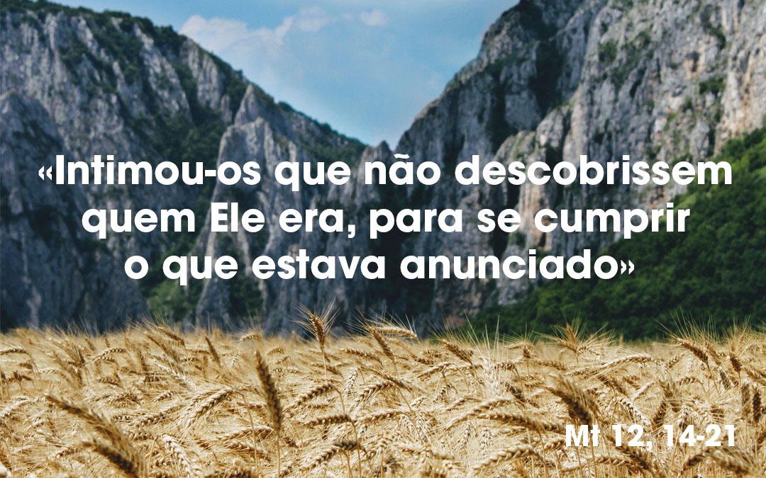 «Intimou-os que não descobrissem quem Ele era, para se cumprir o que estava anunciado» Mt 12, 14-21
