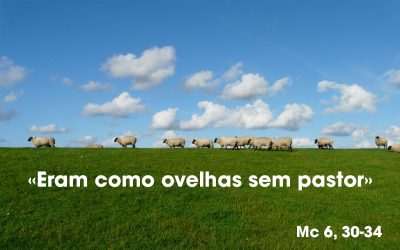 «Eram como ovelhas sem pastor»  Mc 6, 30-34