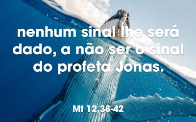 …nenhum sinal lhe será dado, a não ser o sinal do profeta Jonas.(Mt 12,38-42)