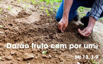 «Darão fruto cem por um» Mt 13, 1-9